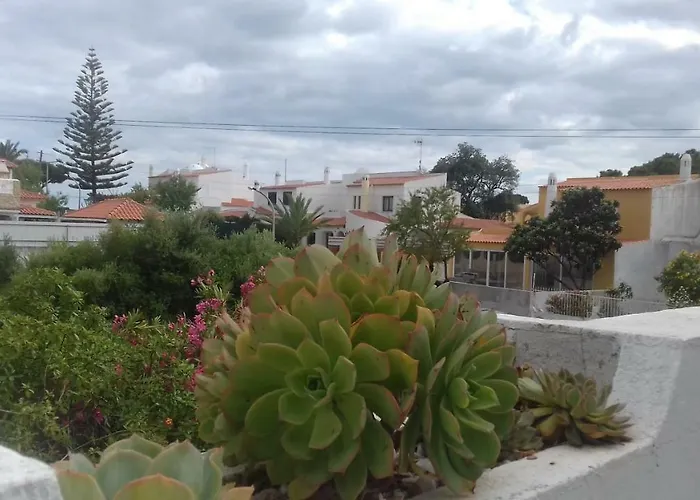 Casa Flores 度假居