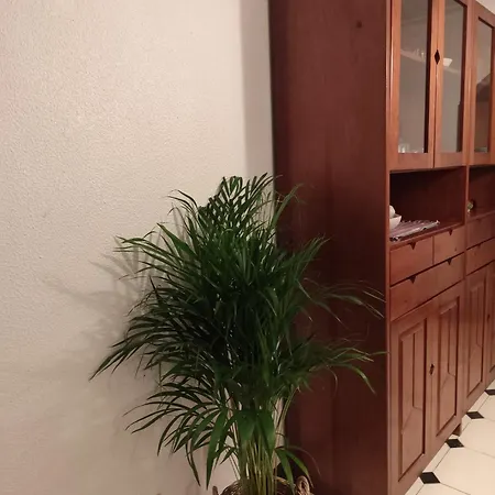 Casa Flores *